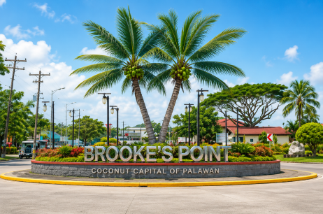 Local Area Coordinator – Brooke's Point, Palawan